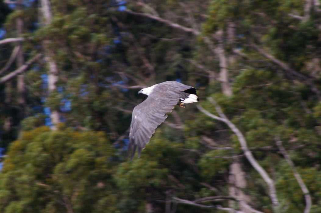 Leven River & History Cruise