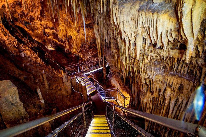 Hastings Caves, Thermal Springs And Tahune Airwalk