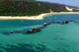 1 Day Moreton Island Snorkel Kayak & Sandboard Adventure Tour - We Wander