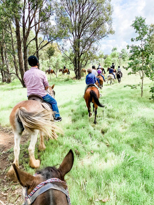 1 - Hour Horse Ride - Bushland Trail - We Wander