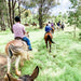 1 - Hour Horse Ride - Bushland Trail - We Wander