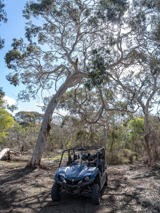 1 - Hour Little Sahara Buggy Tour - We Wander