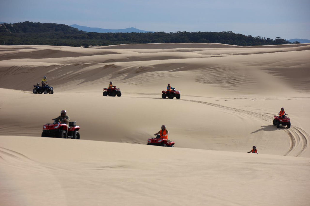 1 Hour Quad Bike Adventure Tour - We Wander