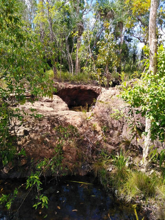 Litchfield Park Adventures With Jumping Crocodile Cruise