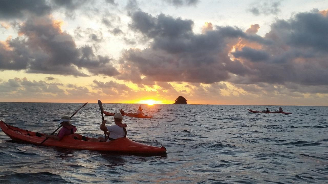 Palm Cove Double Island Kayak Turtle Tour