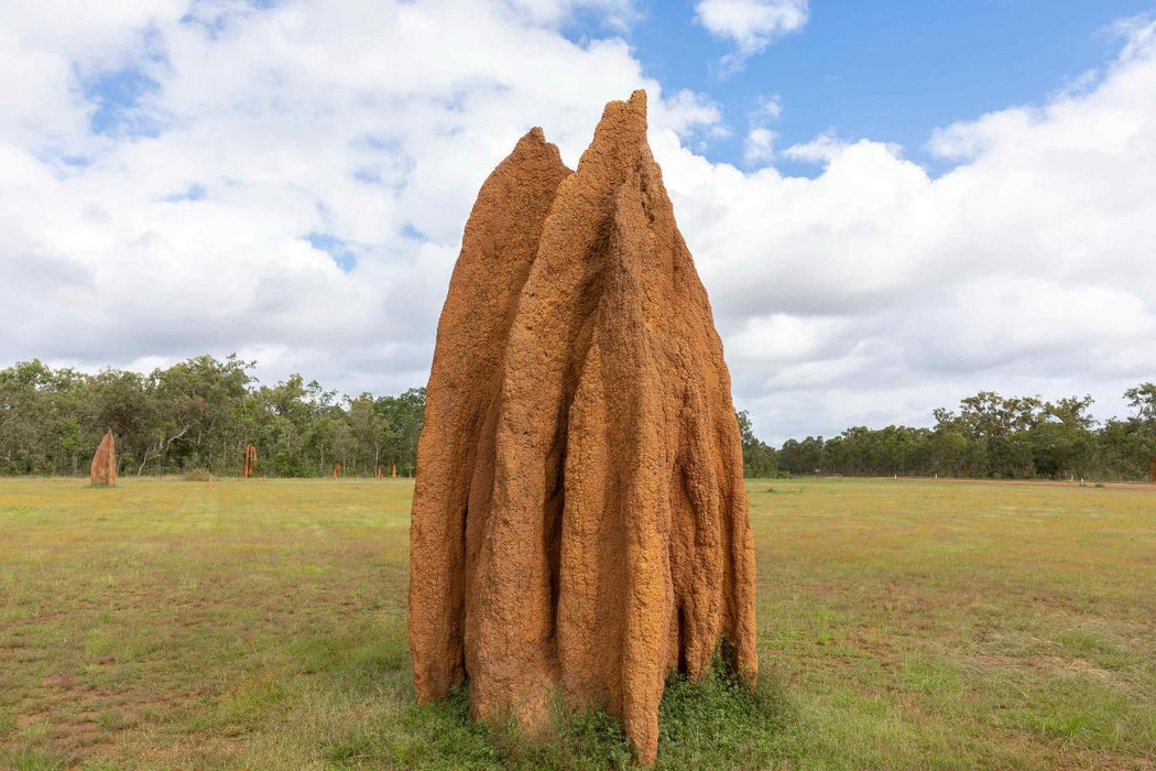 Private 1 Day Chillagoe Caves Tour