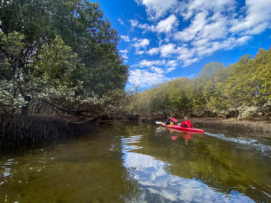 2 Person Kayak Hire - We Wander