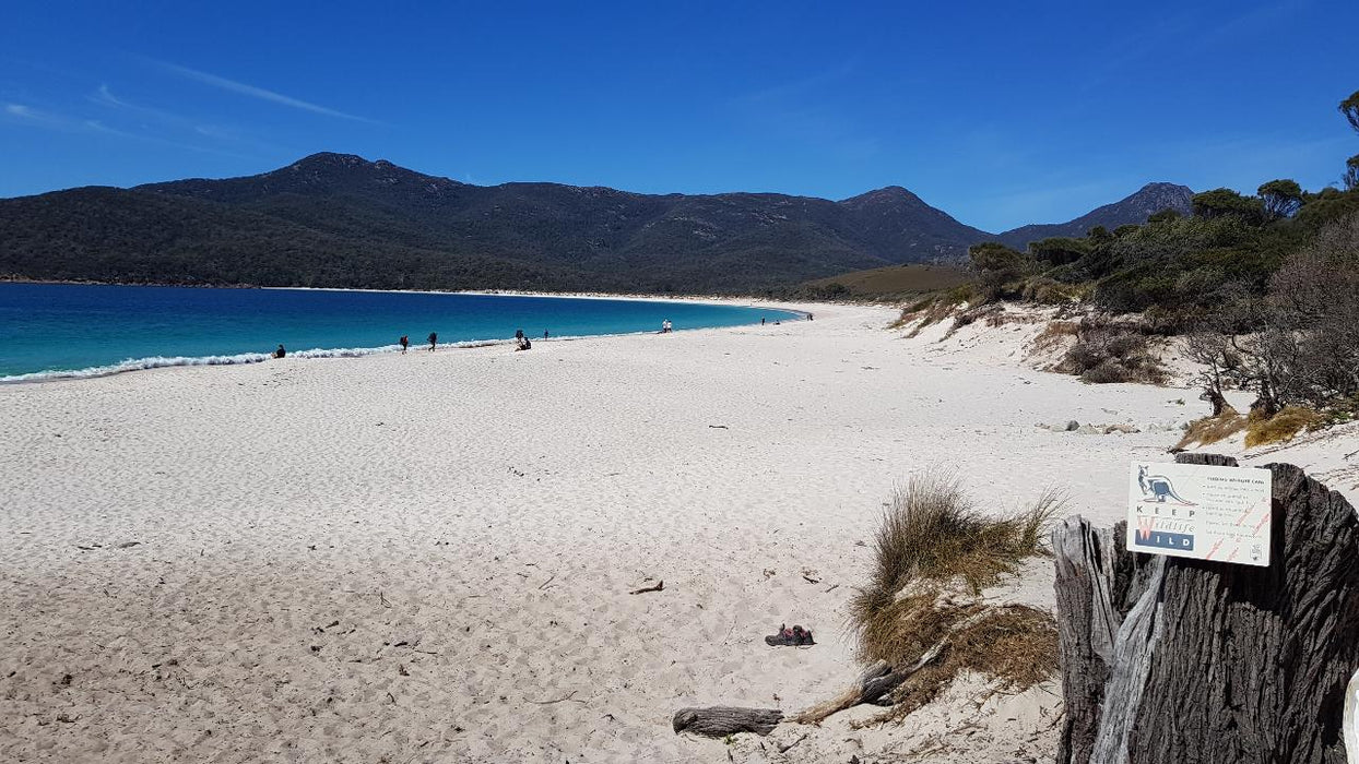 Wineglass Bay & Freycinet Peninsula Day Tour