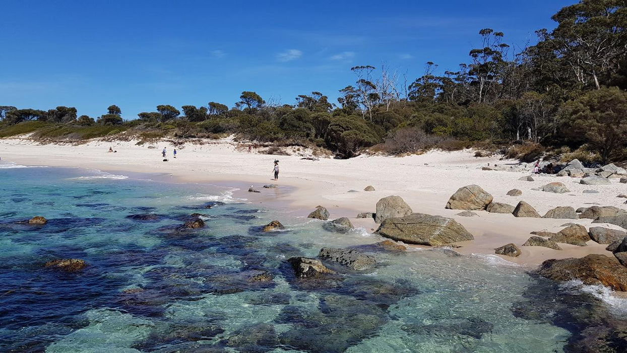 Wineglass Bay & Freycinet Peninsula Day Tour