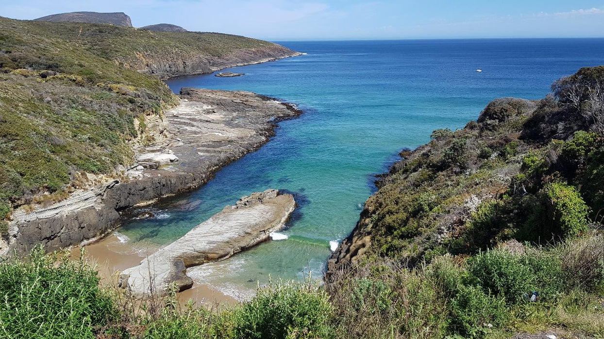 Port Arthur & Tasman Peninsula Day Tour