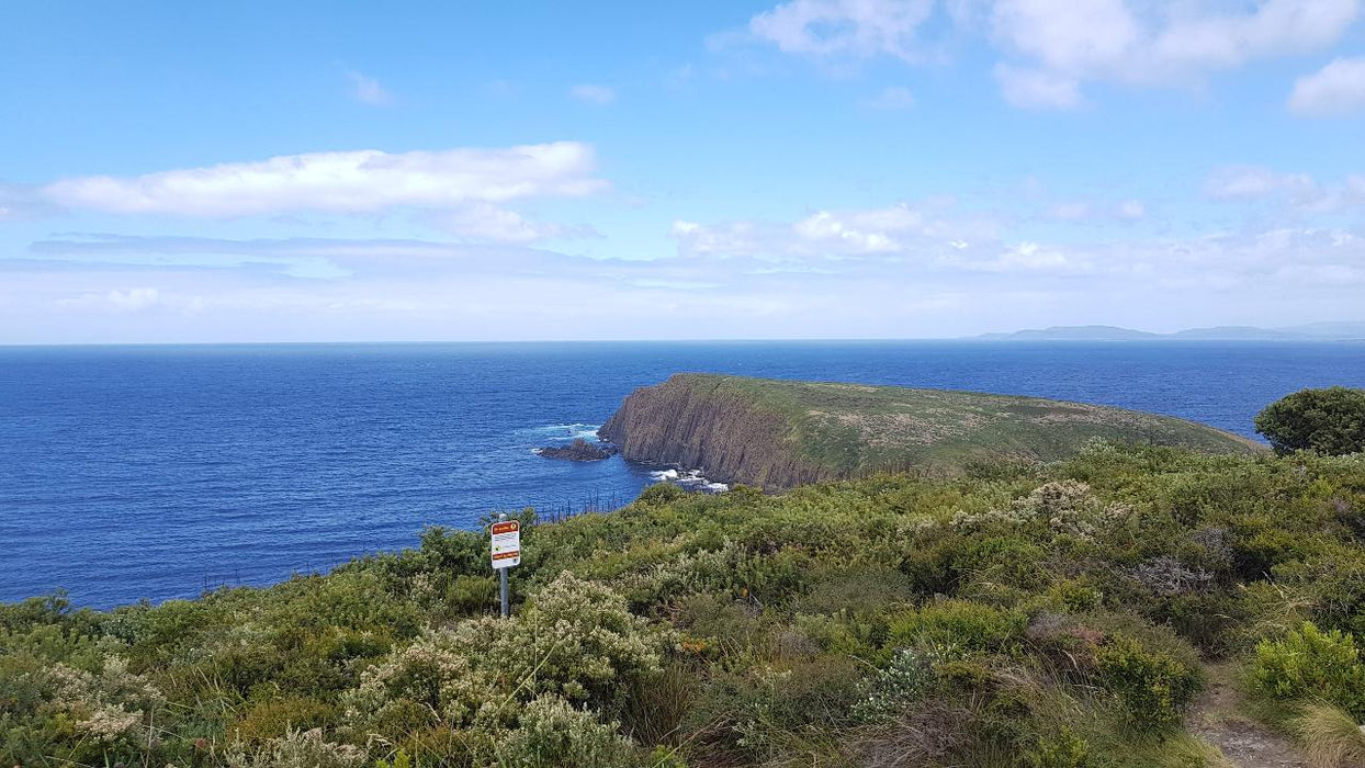 Bruny Island Day Tour