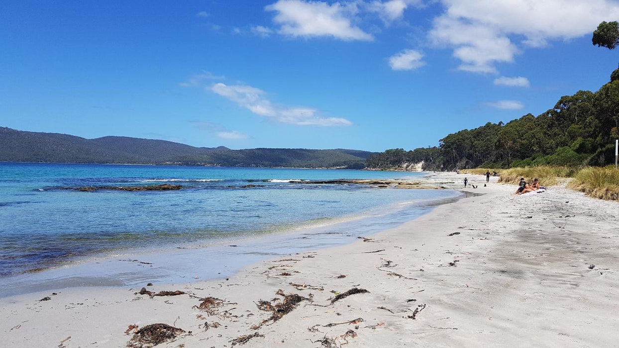 Bruny Island Day Tour