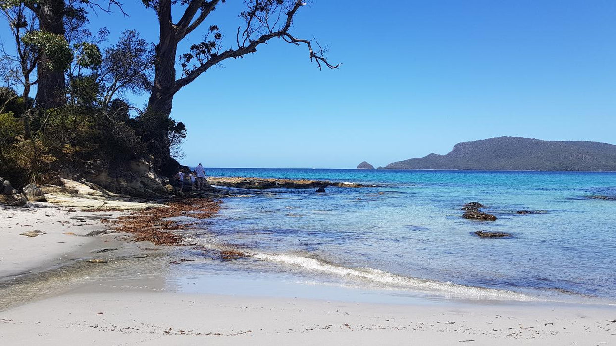 Bruny Island Day Tour