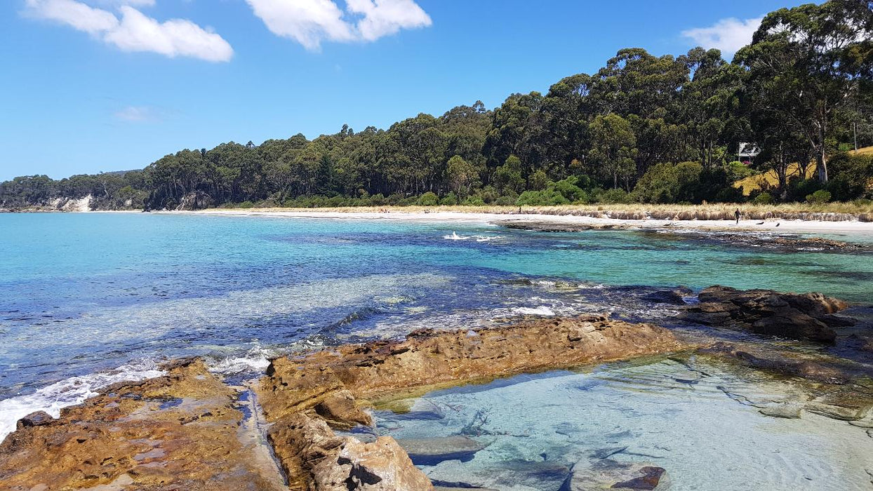 Bruny Island Day Tour