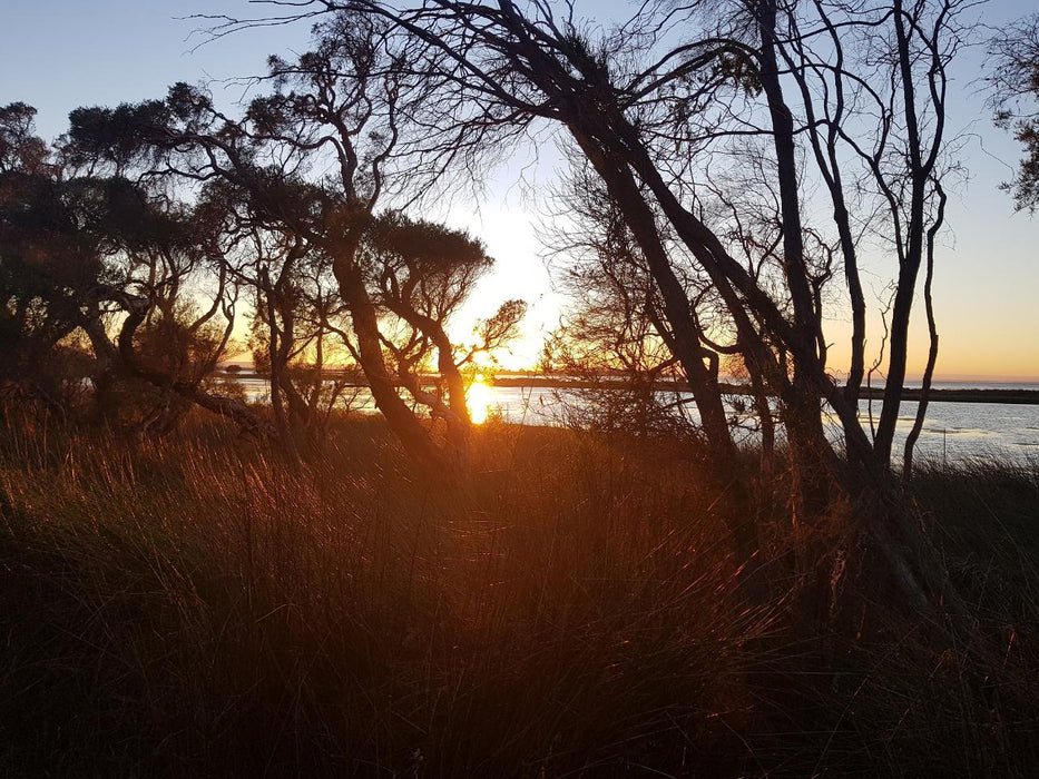 Sunrise Yoga Hike - Erskine