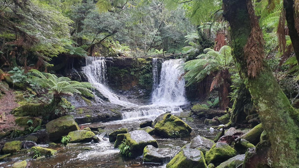 Mt Field Russell Falls, Bonorong, Richmond & Mt Wellington Day Tour