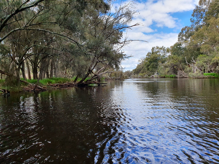 Explore Canning River Wetlands Kayak Tour