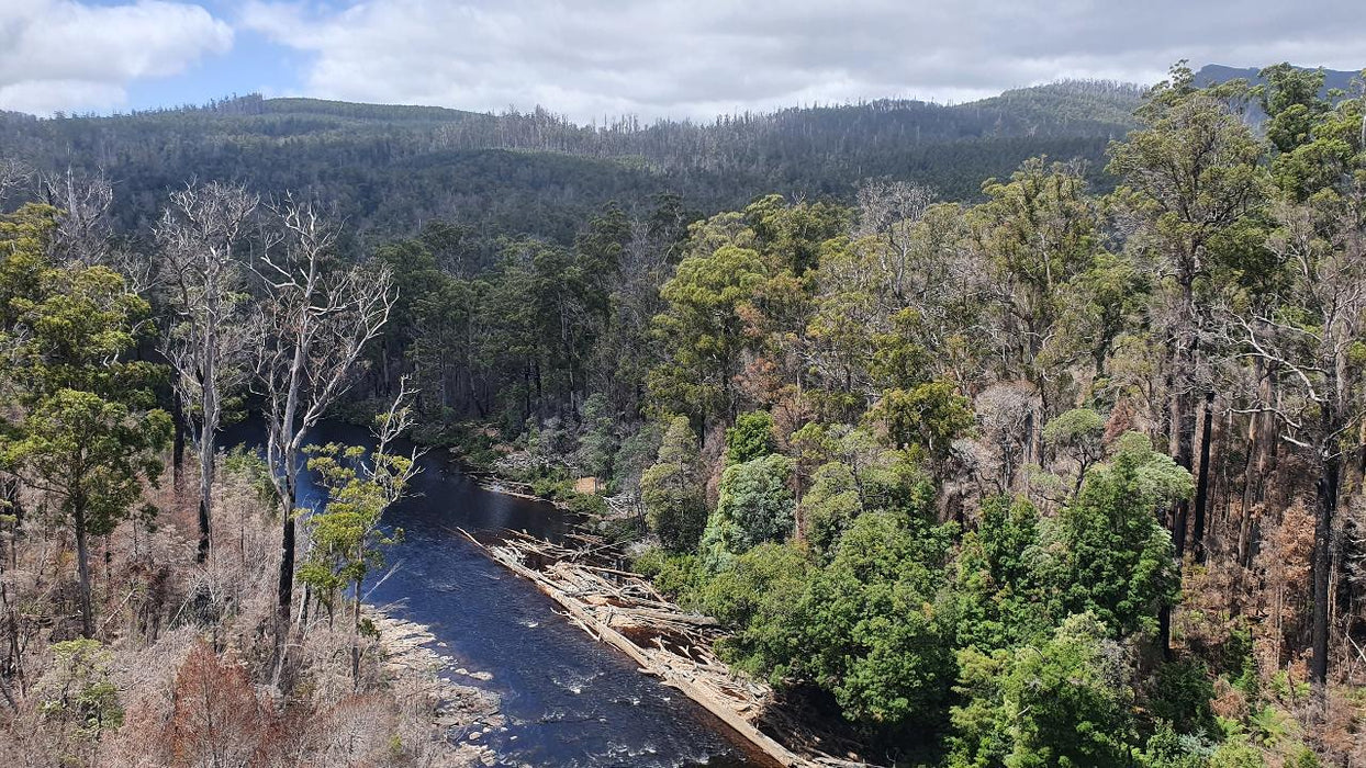 Huon Valley Day Tour