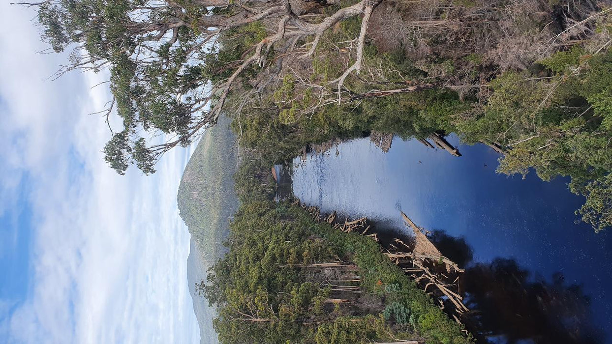 Huon Valley Day Tour