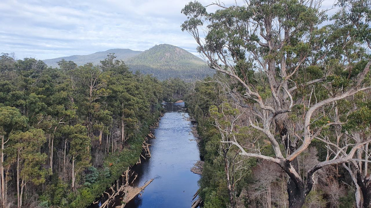 Huon Valley Day Tour