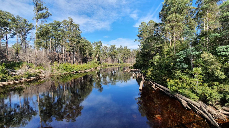 Huon Valley Day Tour