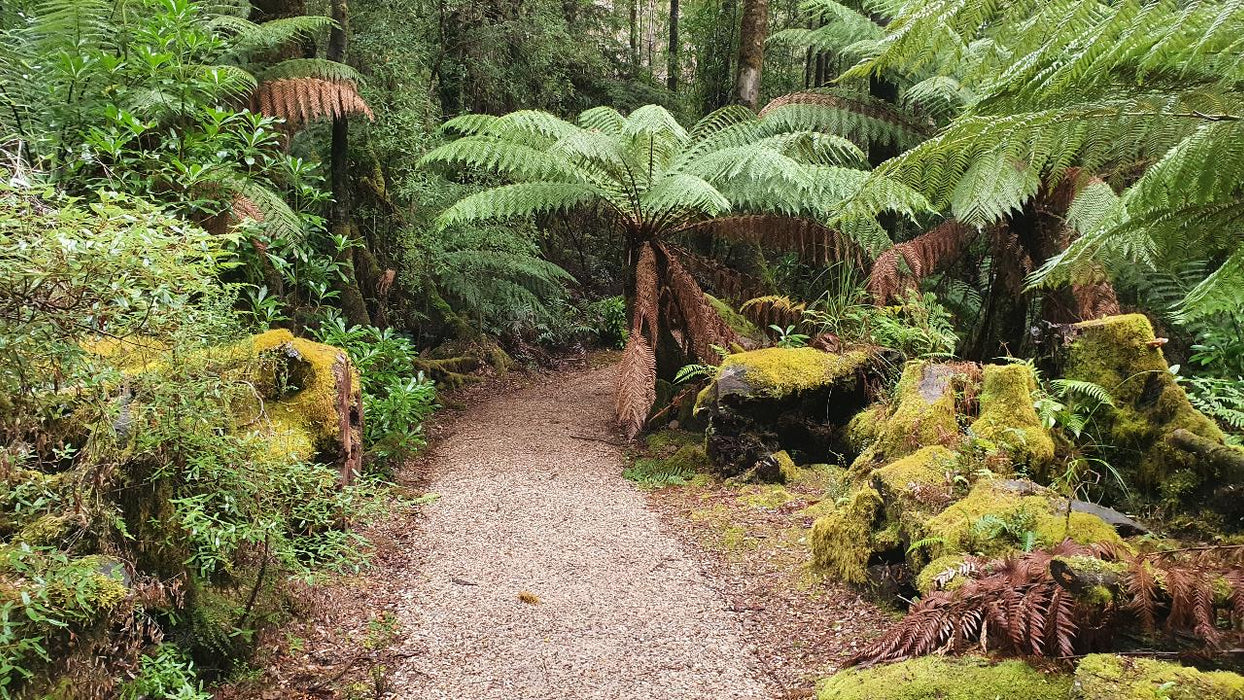 Huon Valley Day Tour