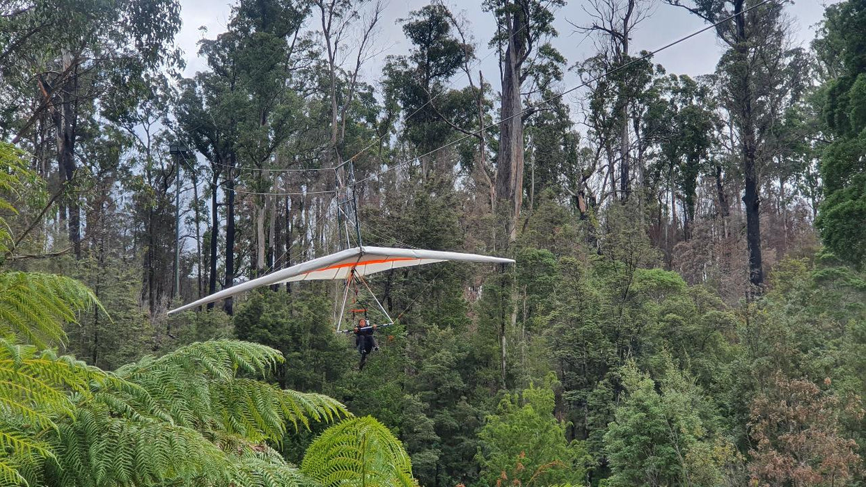 Huon Valley Day Tour