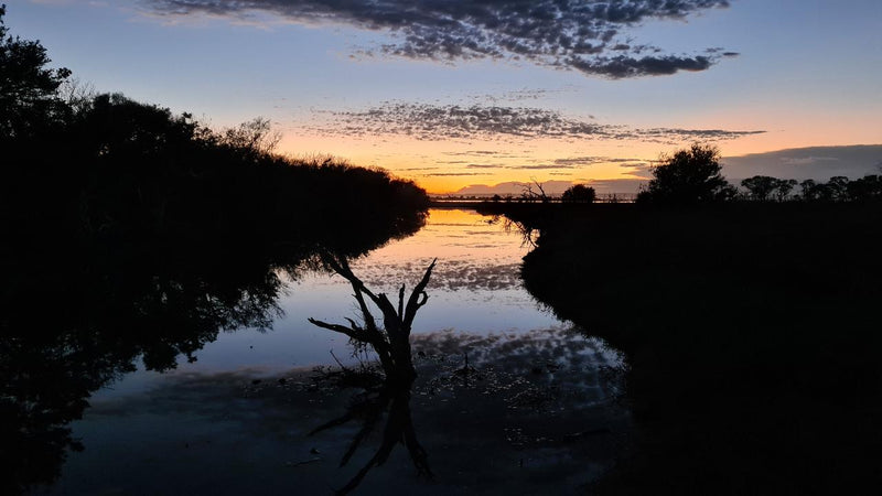 Sunrise Yoga Hike - Erskine