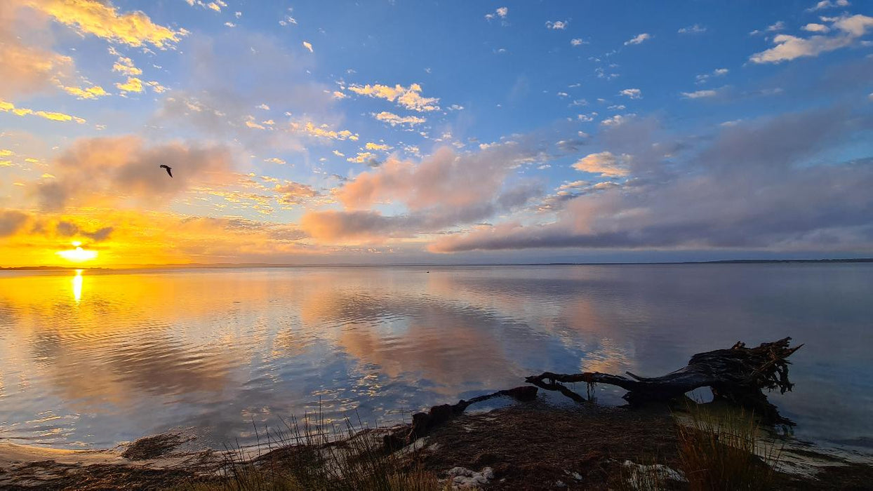 Sunrise Yoga Hike - Erskine