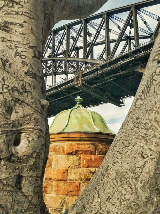 Sydney Smartphone Photography Course