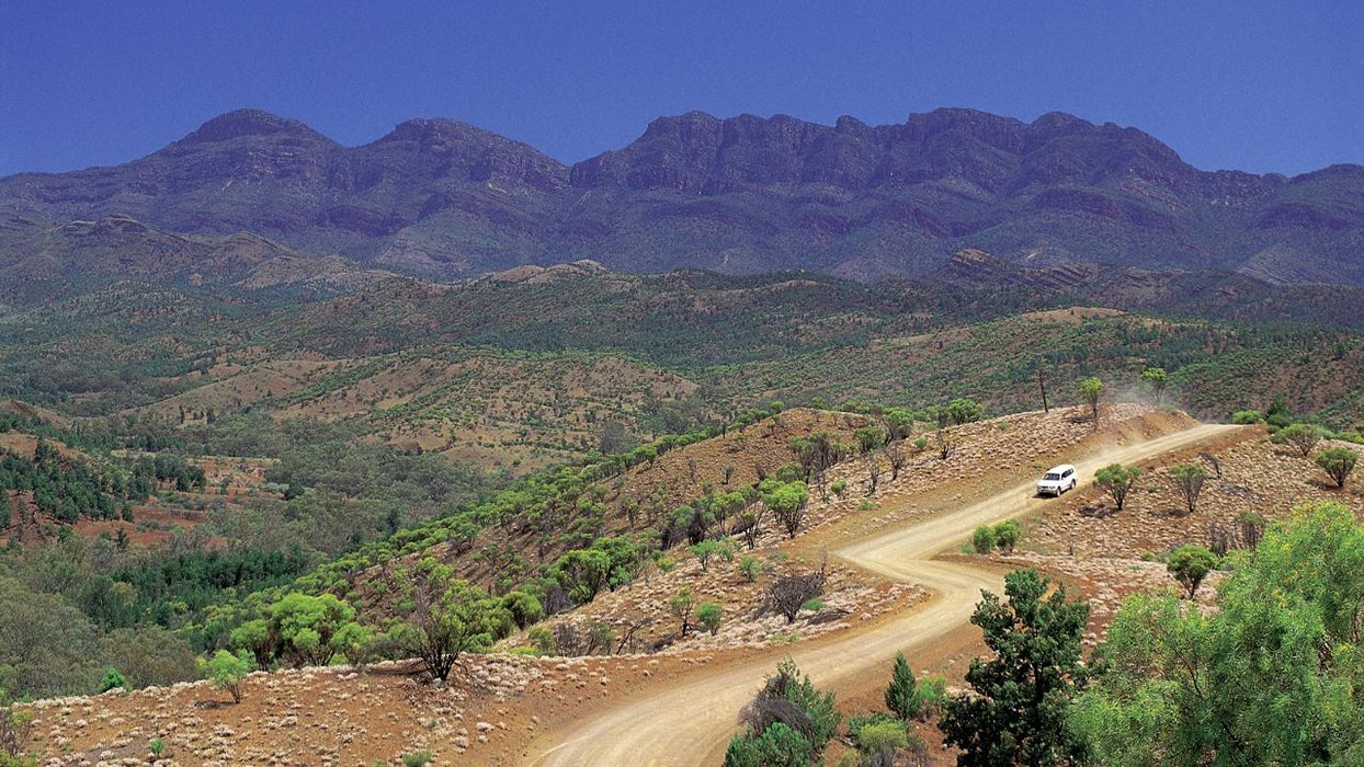 3 - Day Flinders Ranges & Outback Small Group 4Wd Eco Safari - We Wander