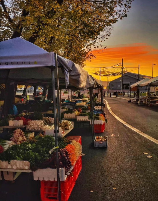 3 Day Tasmanian Highlights Tour ' Hobart, Port Arthur And Bruny Island - We Wander