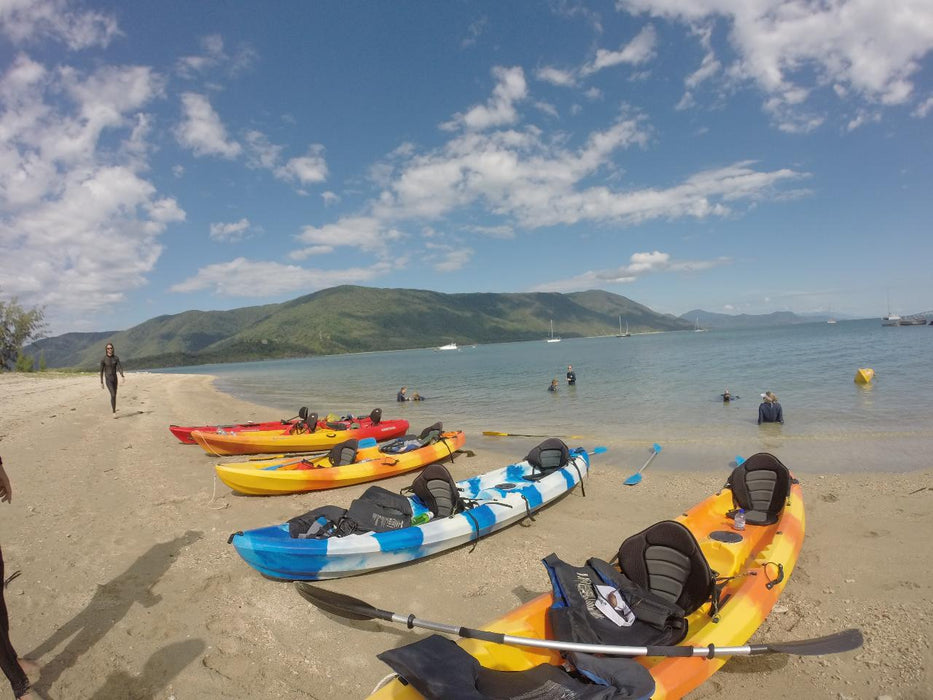 3 - Hour Sunrise Kayak Turtle Tour - We Wander