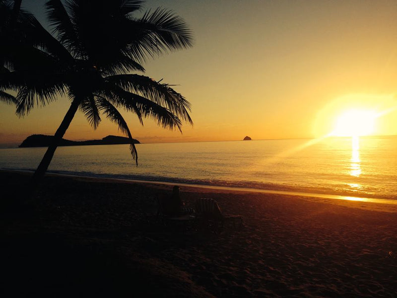 3 - Hour Sunrise Kayak Turtle Tour - We Wander