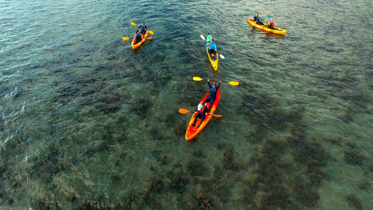 3 - Hour Sunrise Kayak Turtle Tour - We Wander