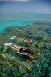 Snorkel With The Fish Wave Break Island