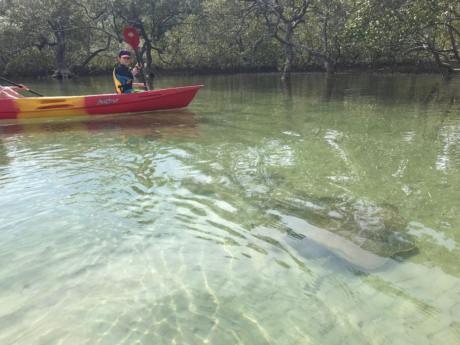 Double Kayak Rental In Brunswick River