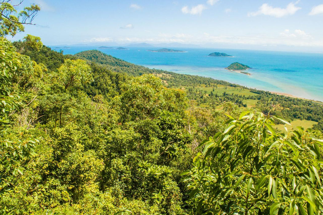 Dunk Island Adventures - Mission Beach Day Return