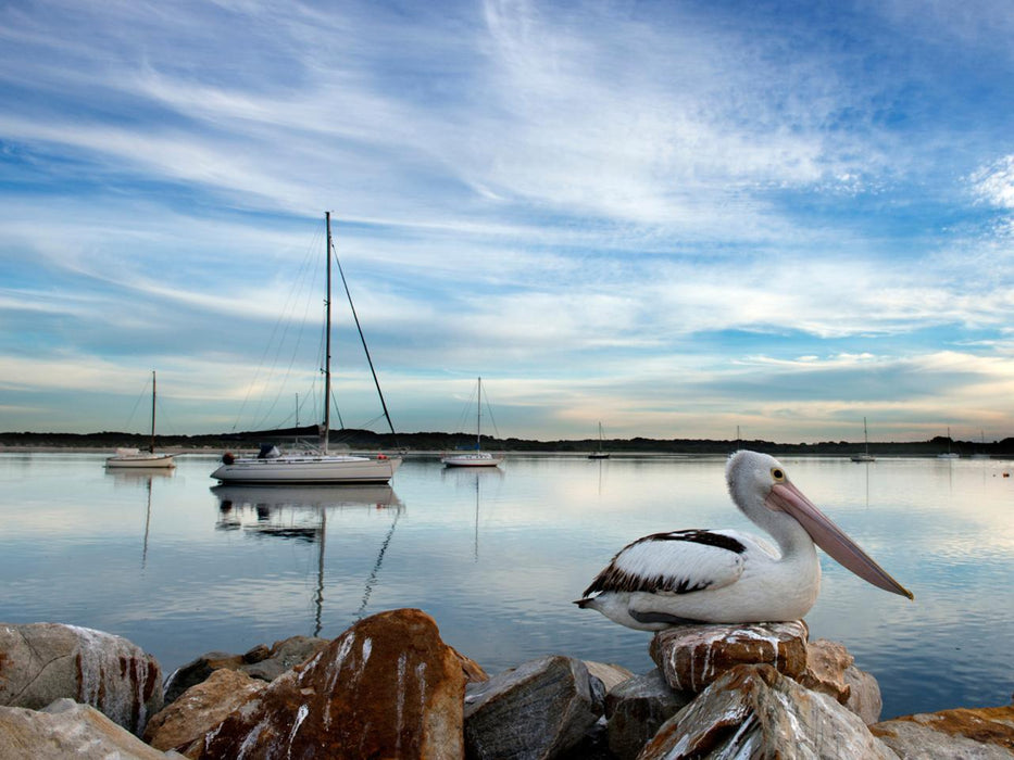 Private Coach - A Taste Of Kangaroo Island 24 Seater