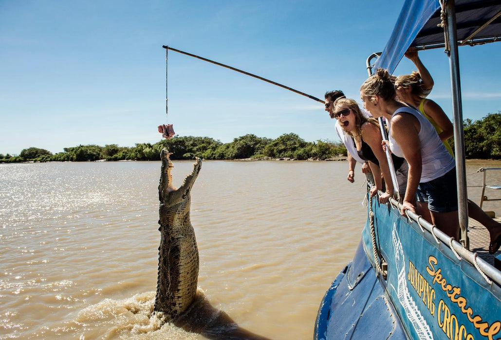 Autopia Tours: Jumping Crocodile Tour From Darwin