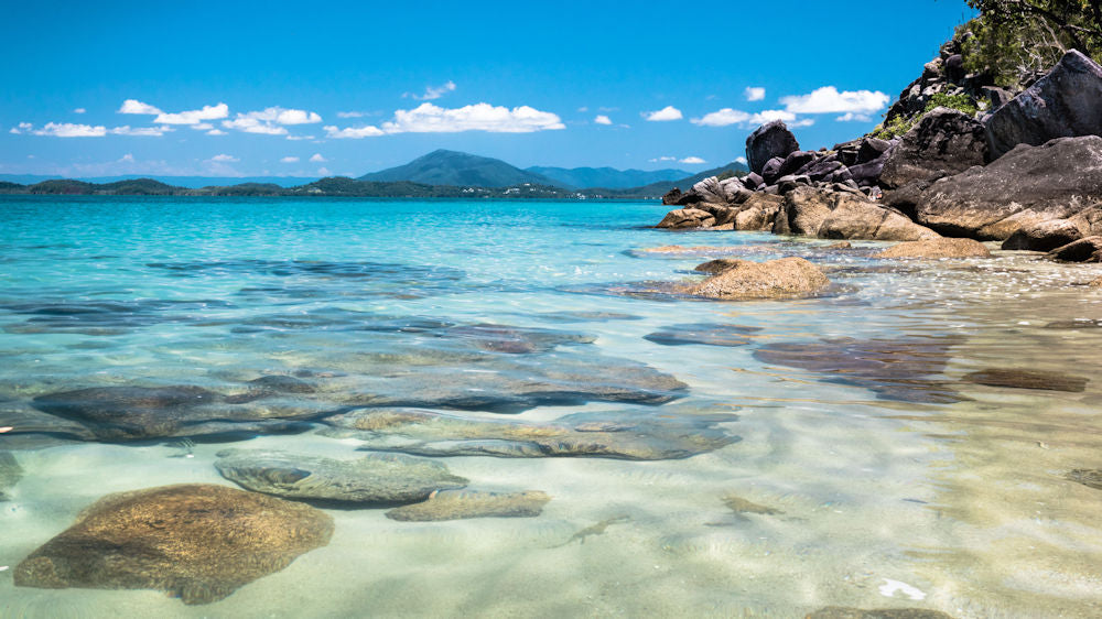 Dunk Island Adventures - Mission Beach Day Return