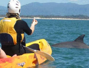 The Byron Bay Sea Kayak Tour