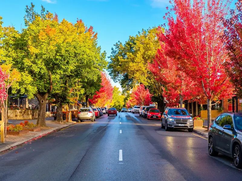 Hahndorf & Adelaide Hills Hop On Hop Off Tour - In Region Pick Up 10.55Am