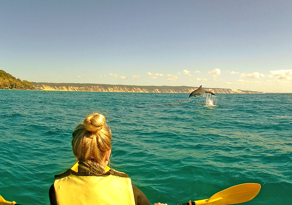 Noosa Private Day Tour - Double Island Point Wildlife Adventure