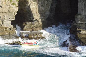 Tasman Island Cruises 3 Hour Cruise