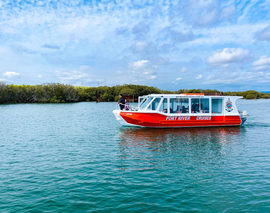 90 Minute Port River Dolphin & Ships Graveyard Cruise - We Wander