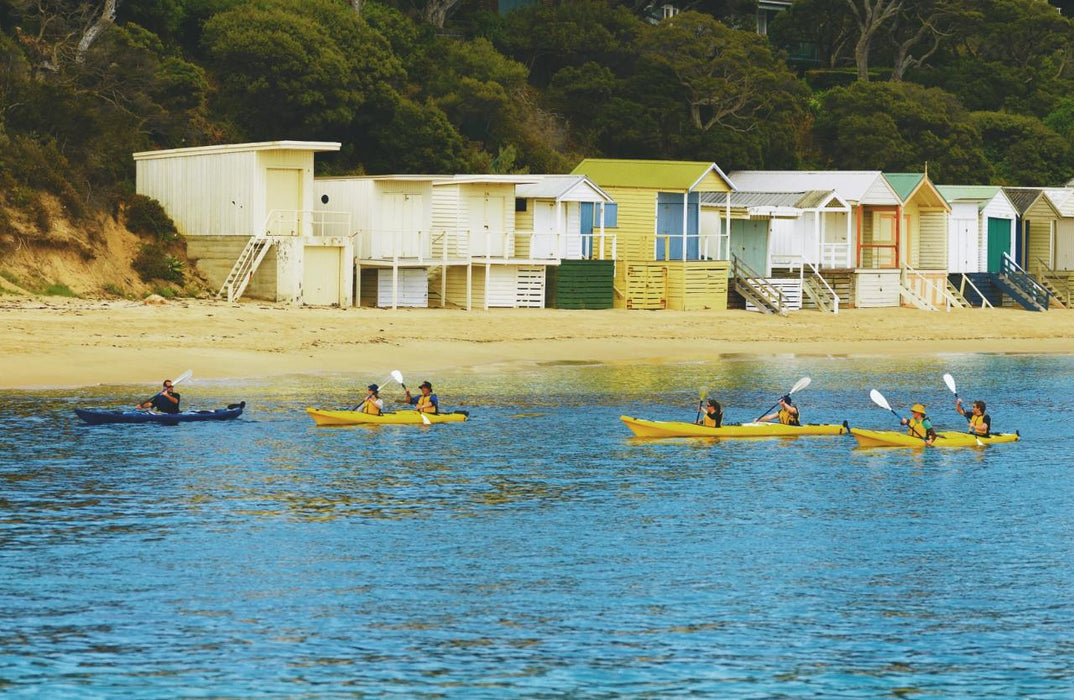 Kayak The Dolphin Sanctuary