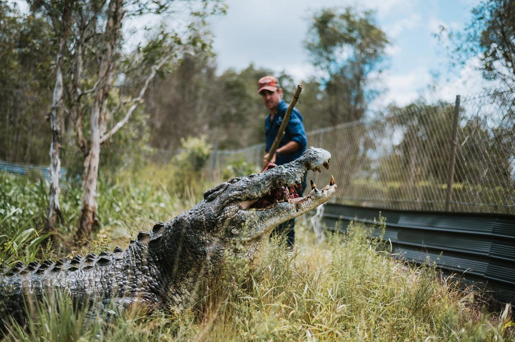 Top End Safari Camp Overnight Tour