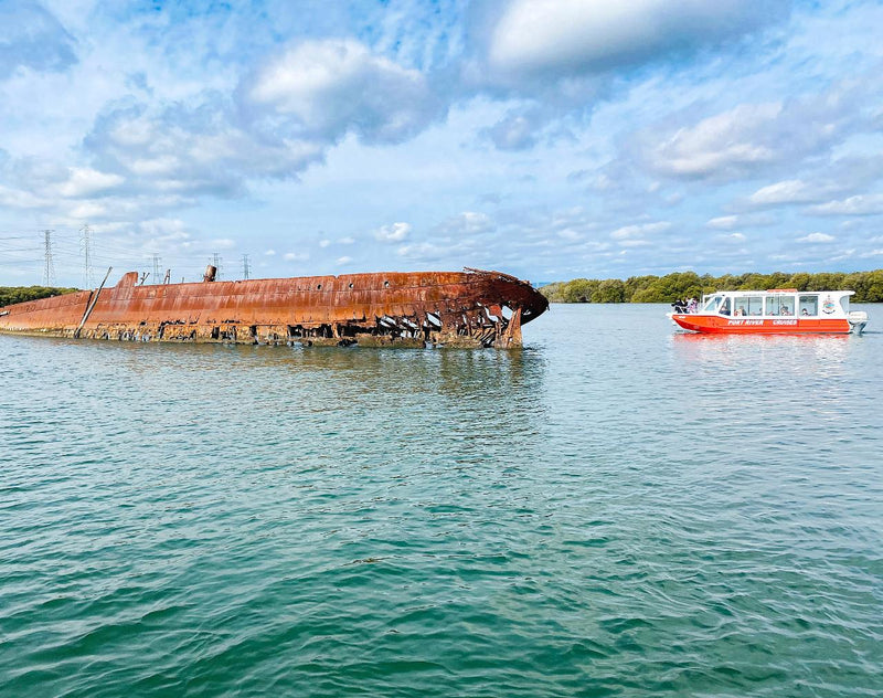 90 Minute Port River Dolphin & Ships Graveyard Cruise