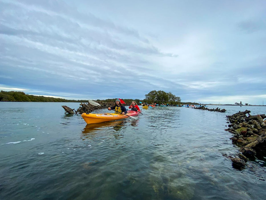 Dolphin Sanctuary & Ships Graveyard Kayak Tour